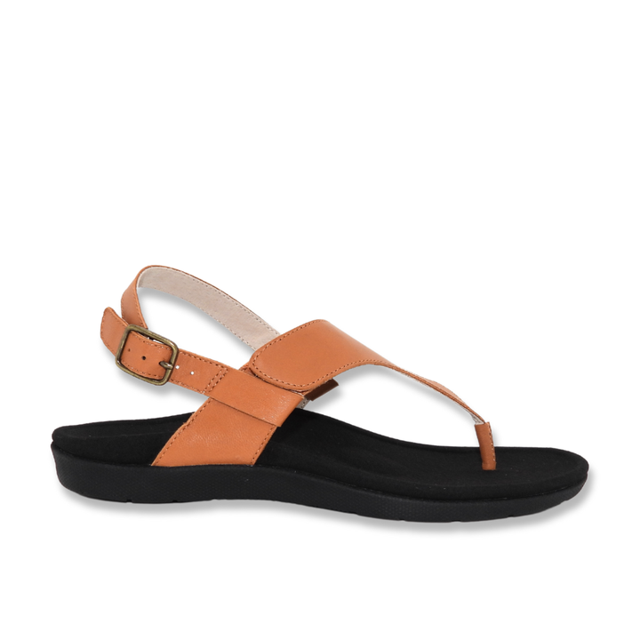 ARCHES 1000 STEPS EXQUISITE THONG - Footmaster