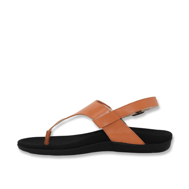 ARCHES 1000 STEPS EXQUISITE THONG - Footmaster