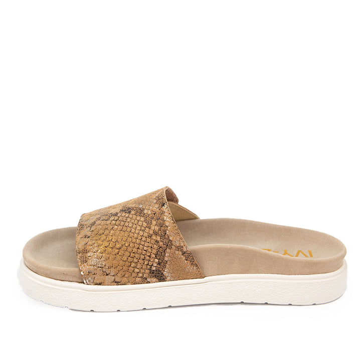 IVY-Z ONN - Footmaster