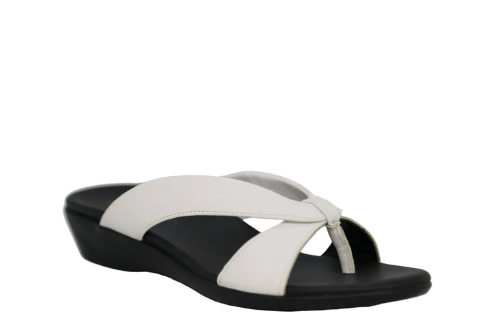 ARCHES MOET WHITE