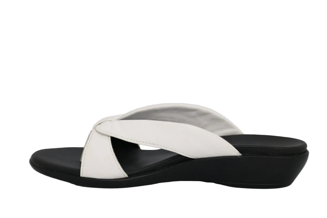 ARCHES MOET WHITE