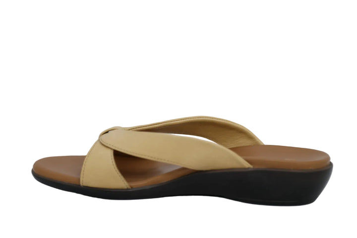 ARCHES MOET LIGHT TAN