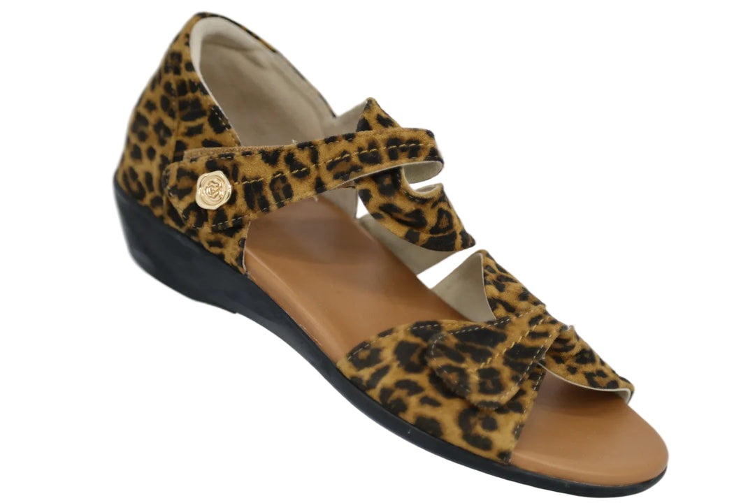 ARCHES ROAR TAN BROWN LEOPARD