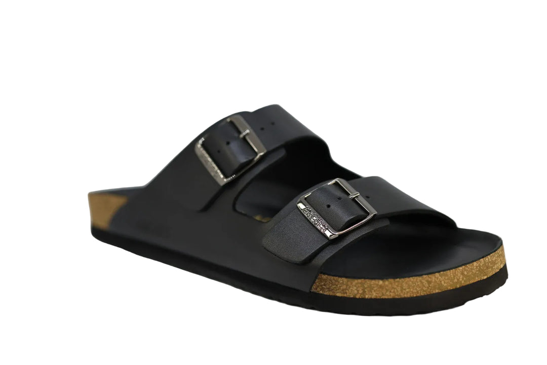 ARCHES FRESH TITAN 2