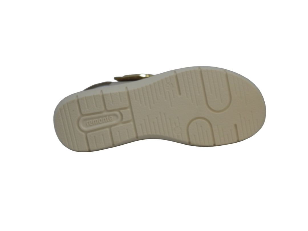 REMONTE D2K50