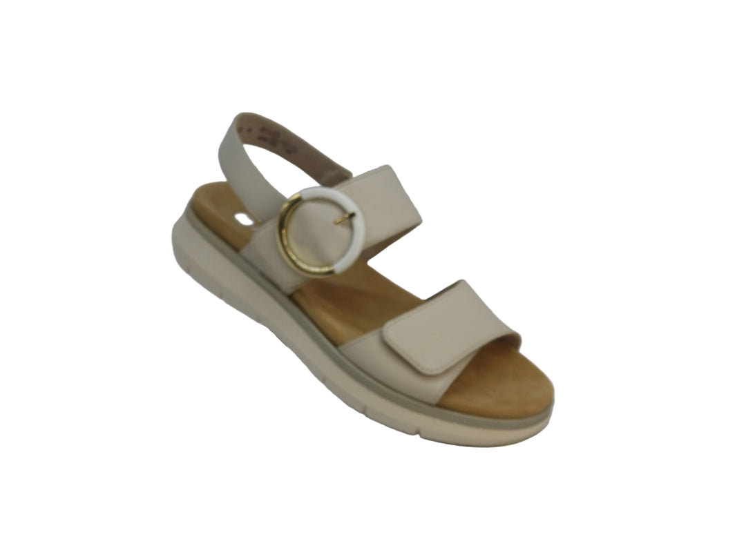 REMONTE D2K50