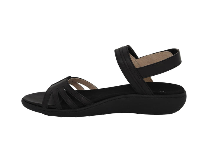 ARCHES SELECT 24