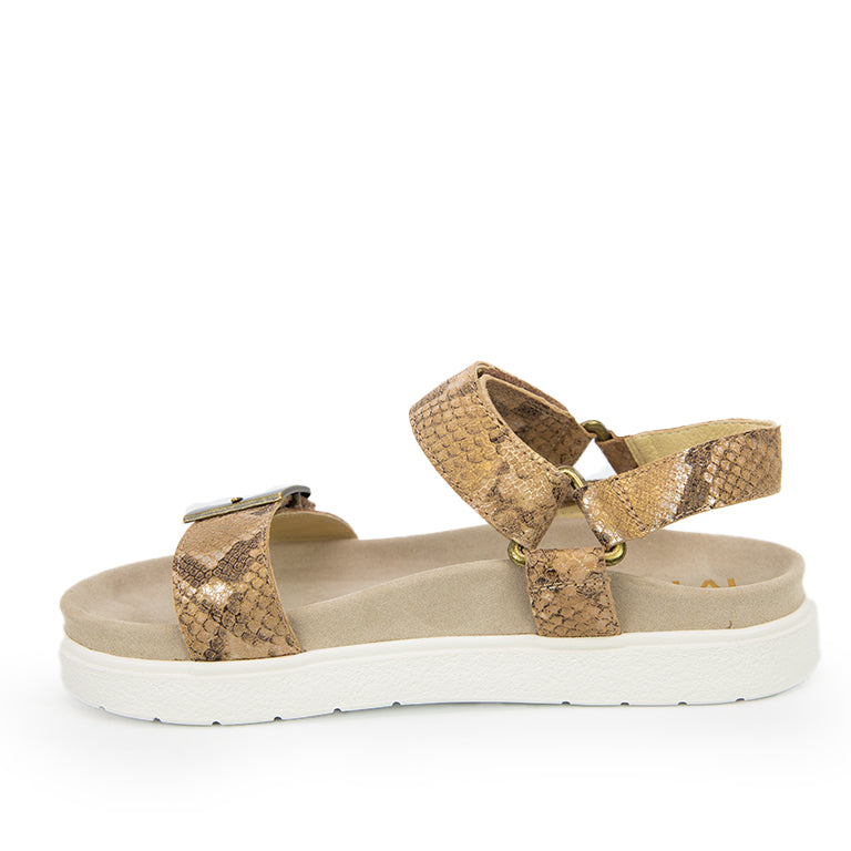 IVY-Z OUT - Footmaster